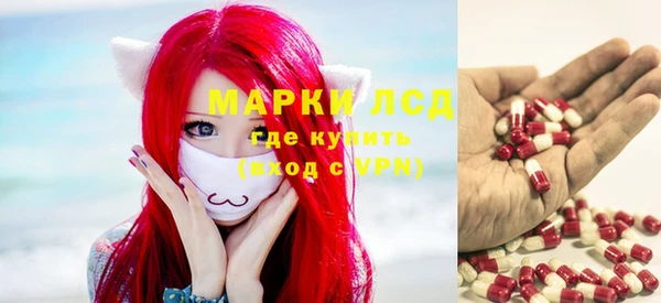 гашик Елизово