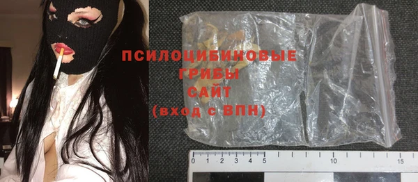 гашик Елизово