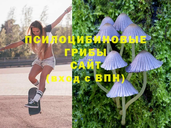 не бодяженный Ельня